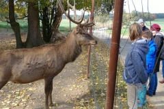 rodinna_rijen_12