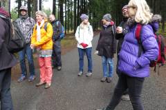 045_Rozcesti_pod_Svycarnou_IMG_3365y